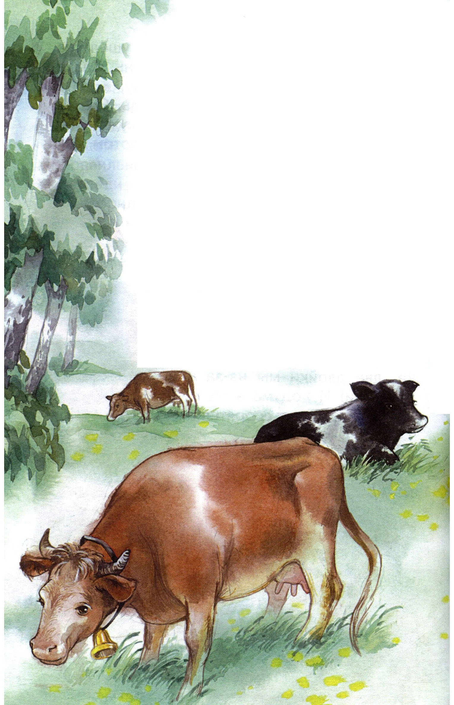 Иллюстрации к Константин Ушинский бодливая корова